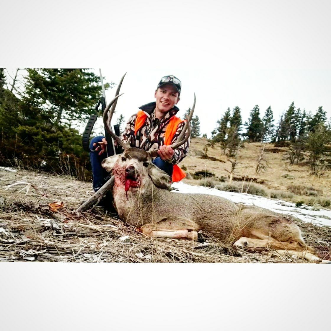 Hunting trophy